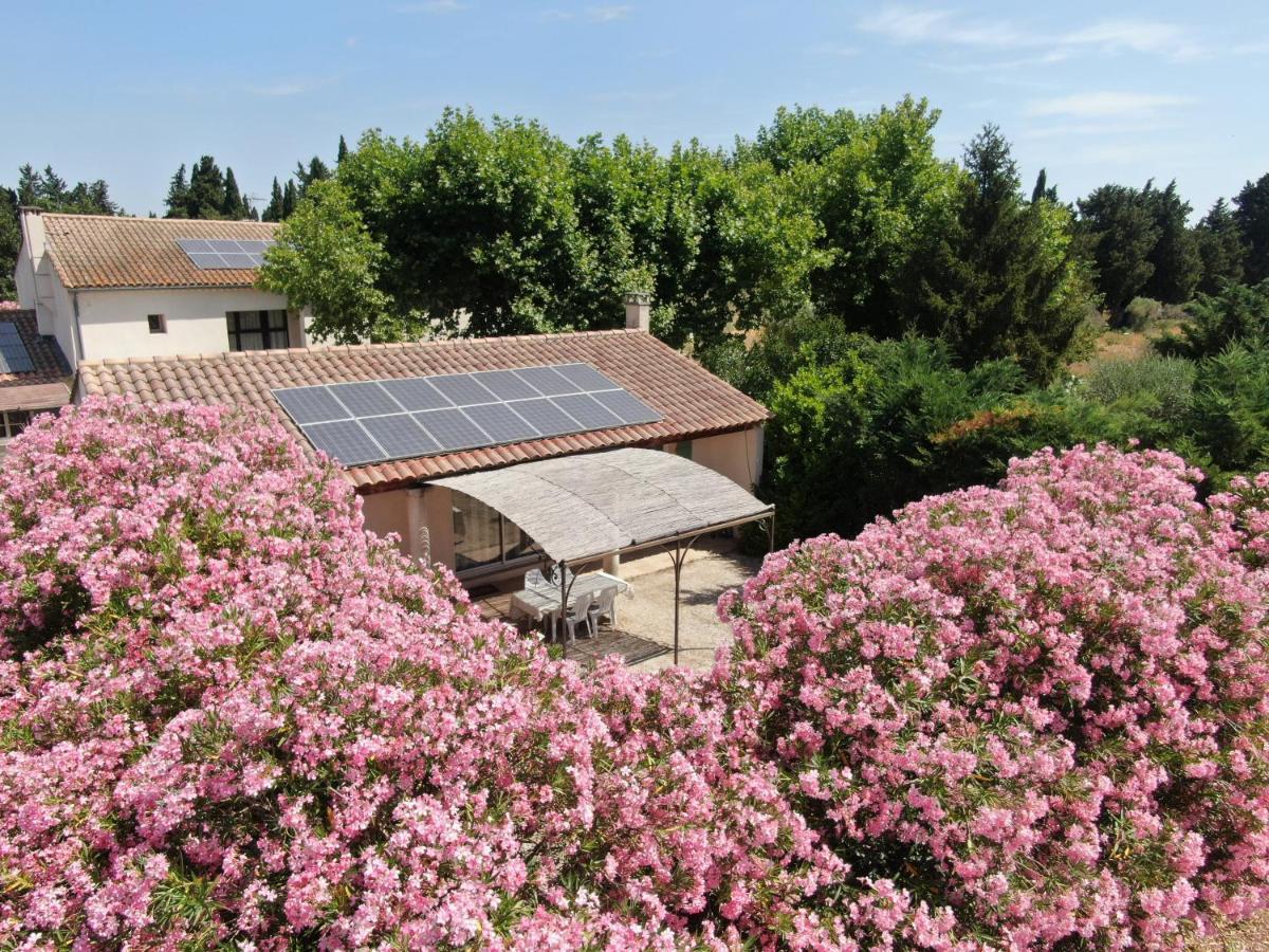 Les Gites Du Mas Canillac Châteaurenard Exteriér fotografie